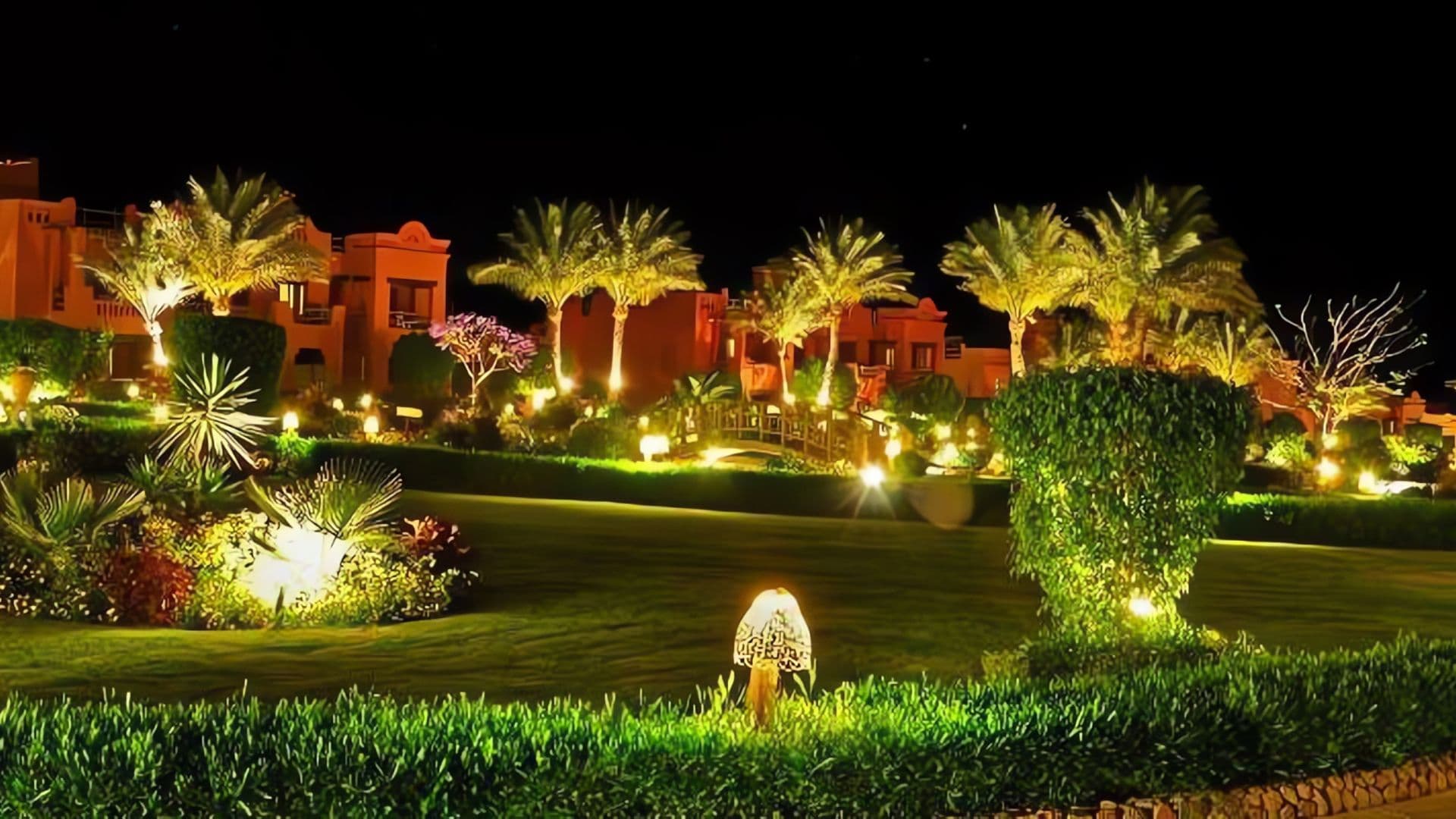 Dramatic uplighting on palm trees and garden landscape